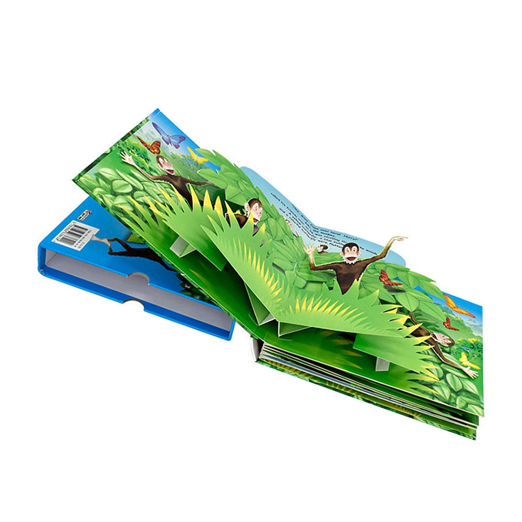 slipcase pop up book