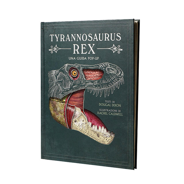 hardcover pop up book