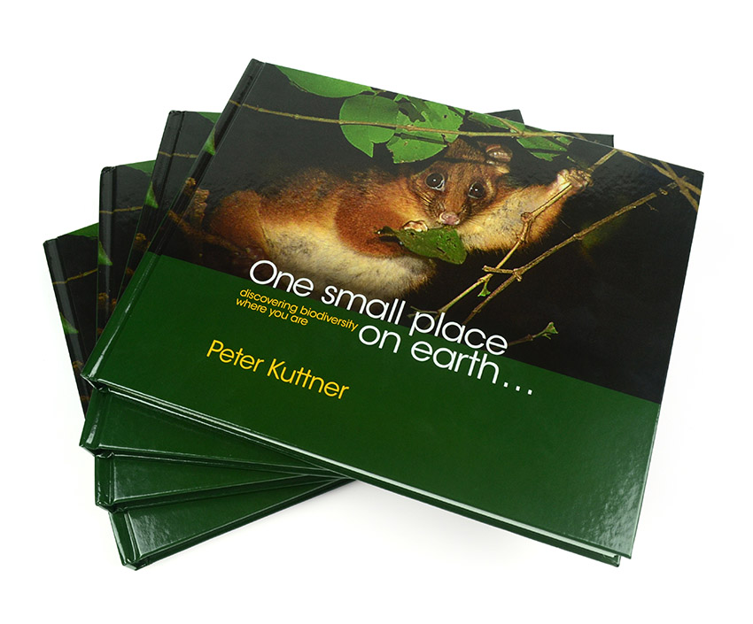 customized coffee table book