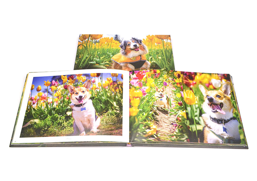 printing your photography book