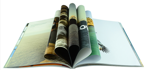 experienced book printing factory