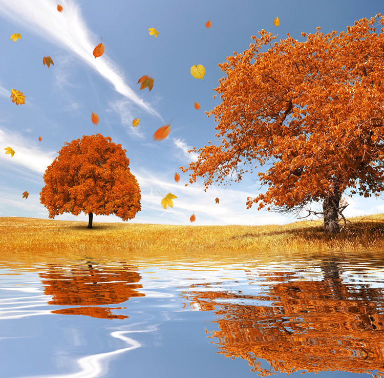 printing artwork printing artwork