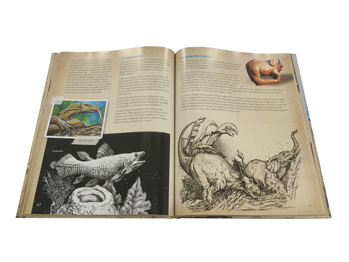 cost of printing coffee table books cost of printing coffee table books