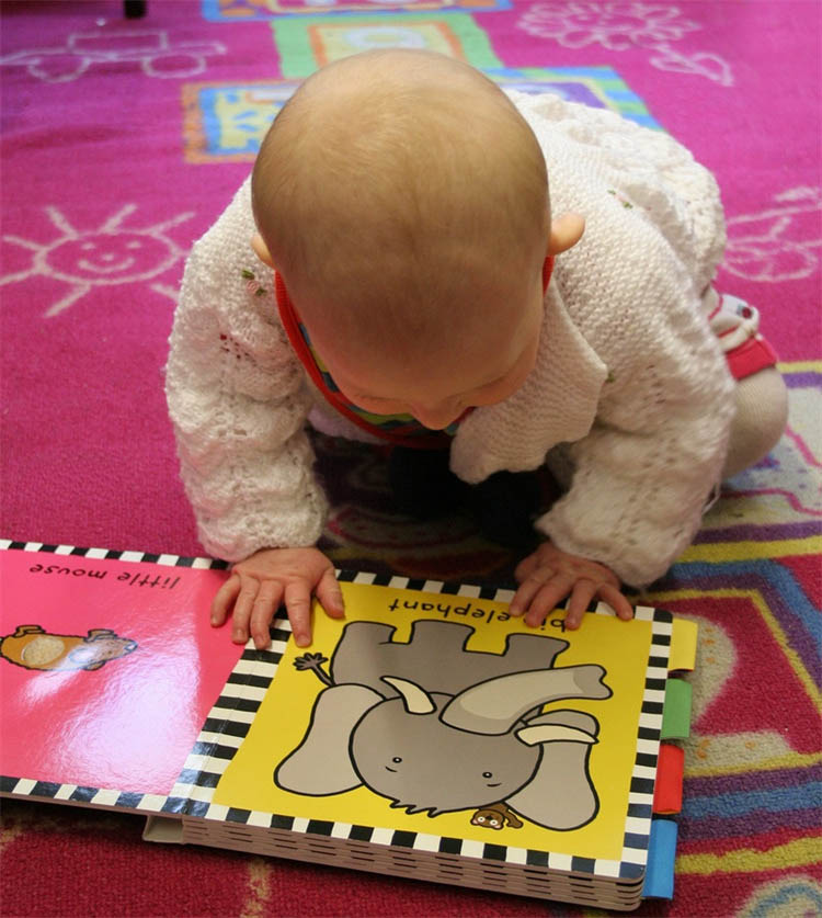 Why Use Bright Color to Design and Print Baby Boar02