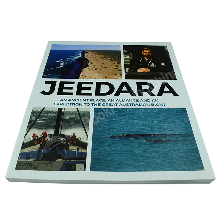 custom magazine photo book printing1