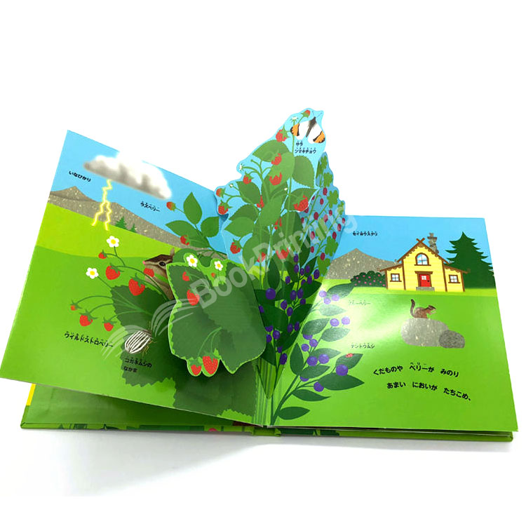 custom hardcover children’s card book