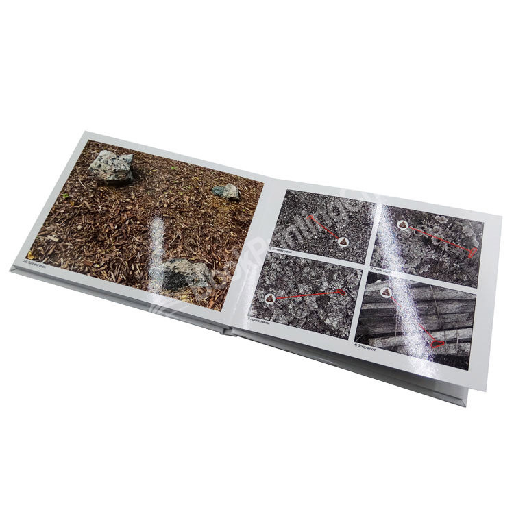 20230703105451297280