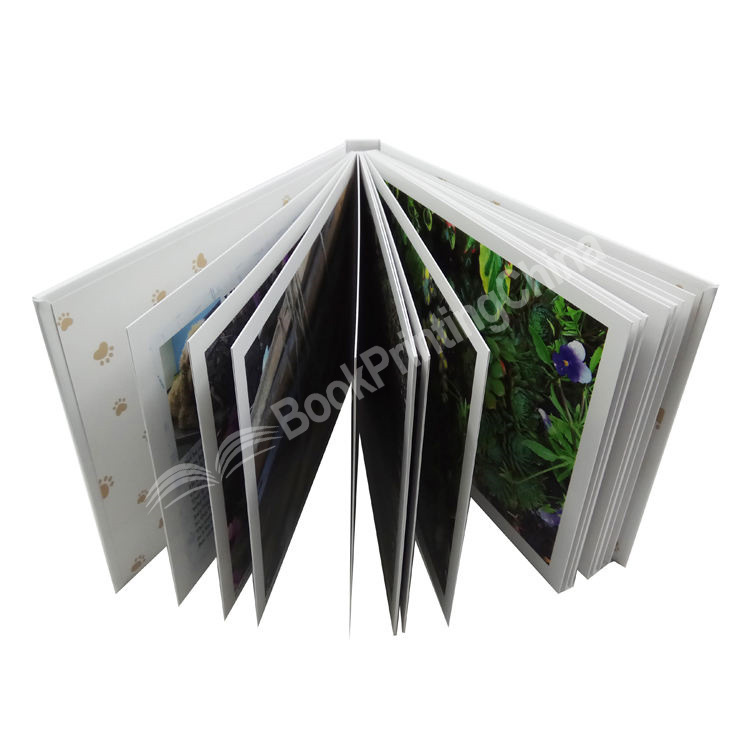 20230703105444203189