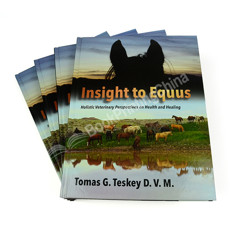 cheap full color hardcover book printing 4