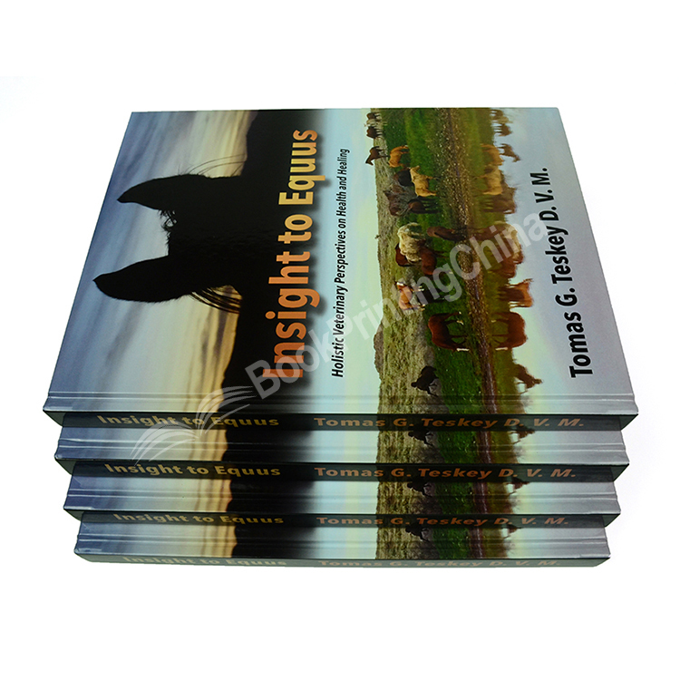 cheap full color hardcover book printing 3