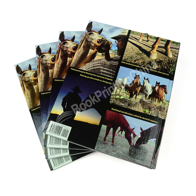 cheap full color hardcover book printing 5