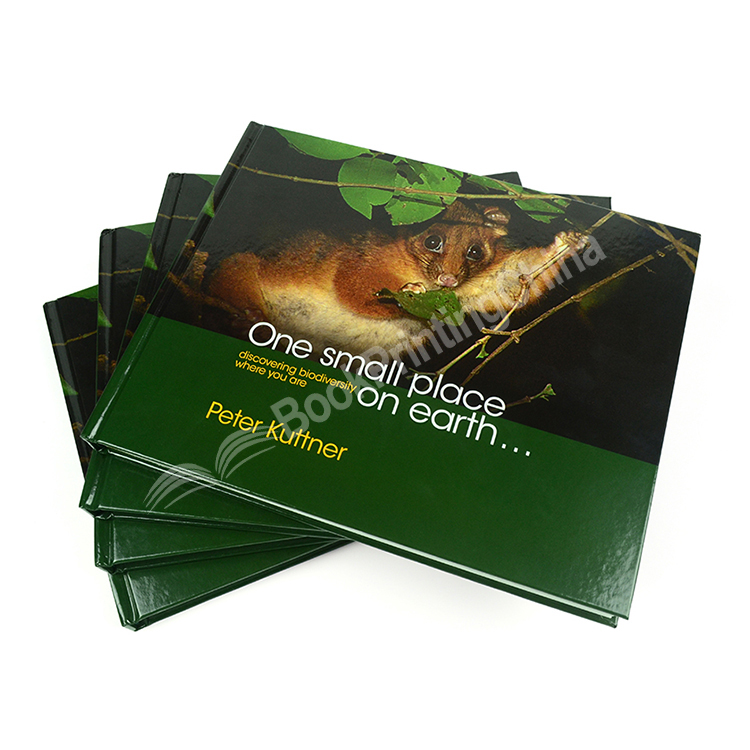 China Printing Service Custom Hardcover Book Printing Photo Book Printing