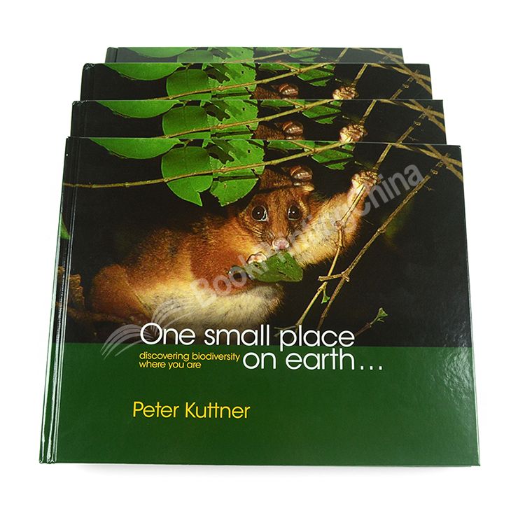 landscape hardcover photo book printing 4