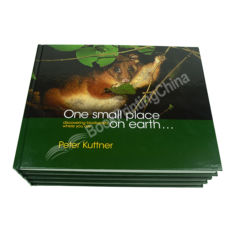 landscape hardcover photo book printing 2