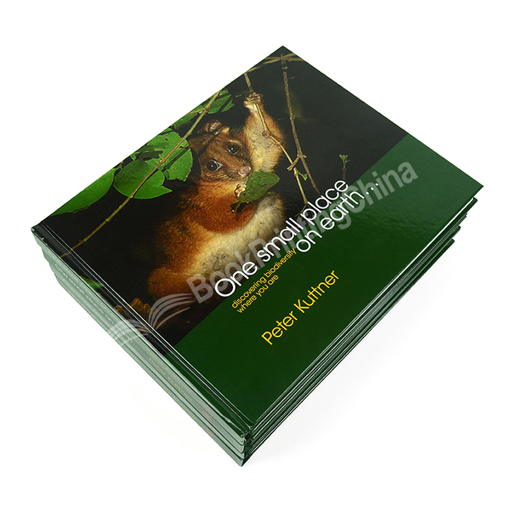 landscape hardcover photo book printing 3