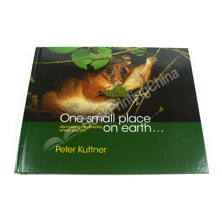 landscape hardcover photo book printing 5