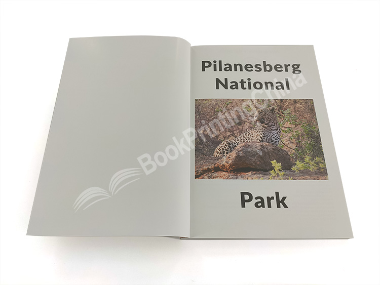 bulk softcover book printing (6)