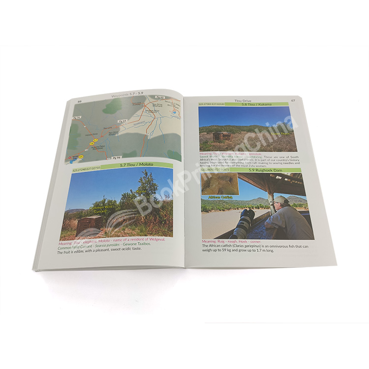 bulk softcover book printing (7)