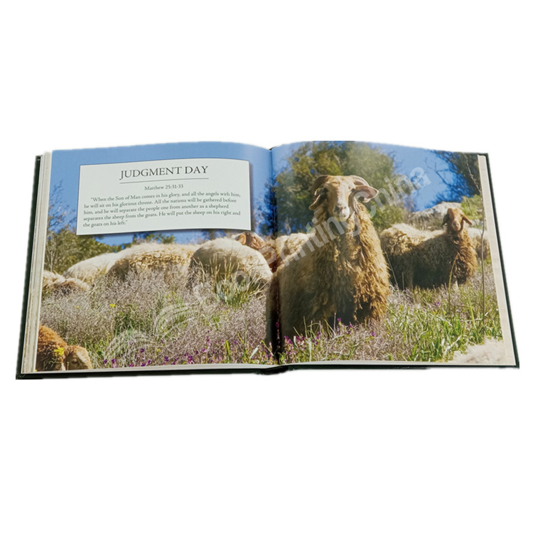 1630577531241_副本