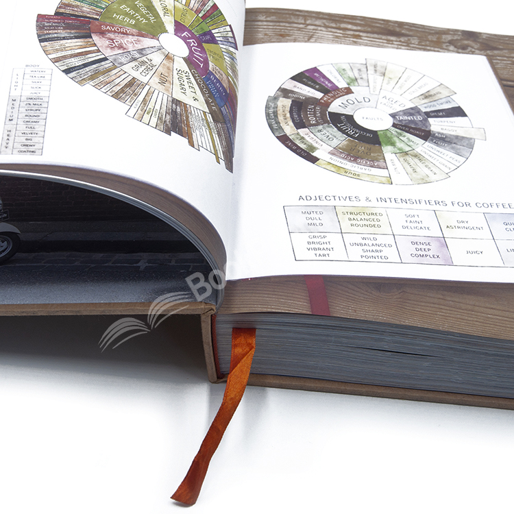 20230703115543992779