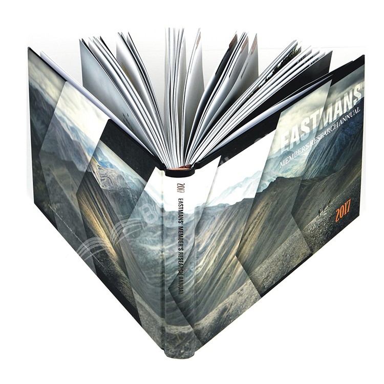 HTB1QCHLb8fH8KJjy1Xbq6zLdXXaR