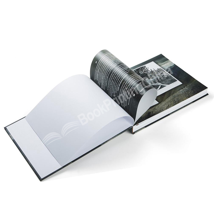 HTB1g1VLceySBuNjy1zdq6xPxFXa3