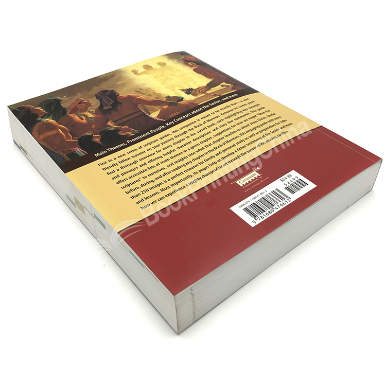 customized softcover book printing 2