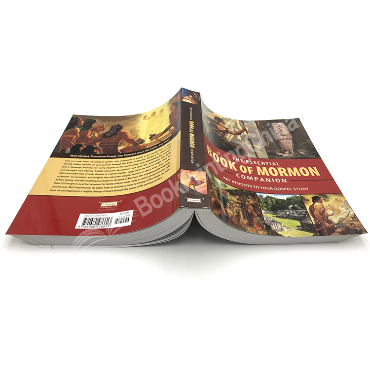 customized softcover book printing 1