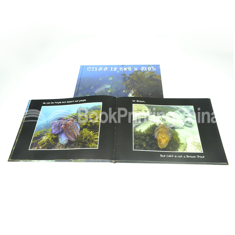 custom colorful book printing