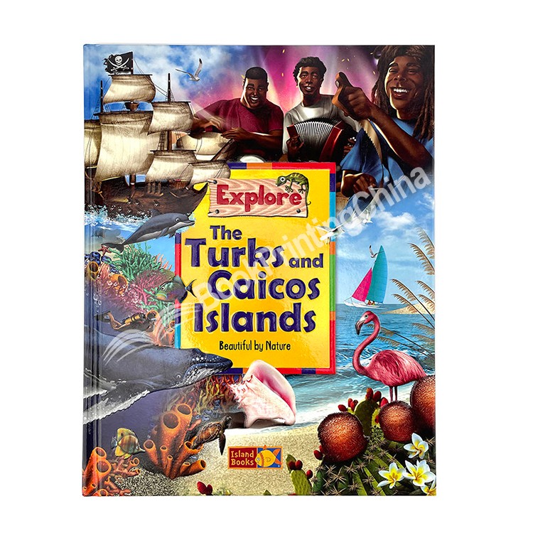 custom graphic novel