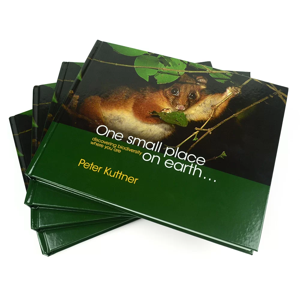 photo album printing