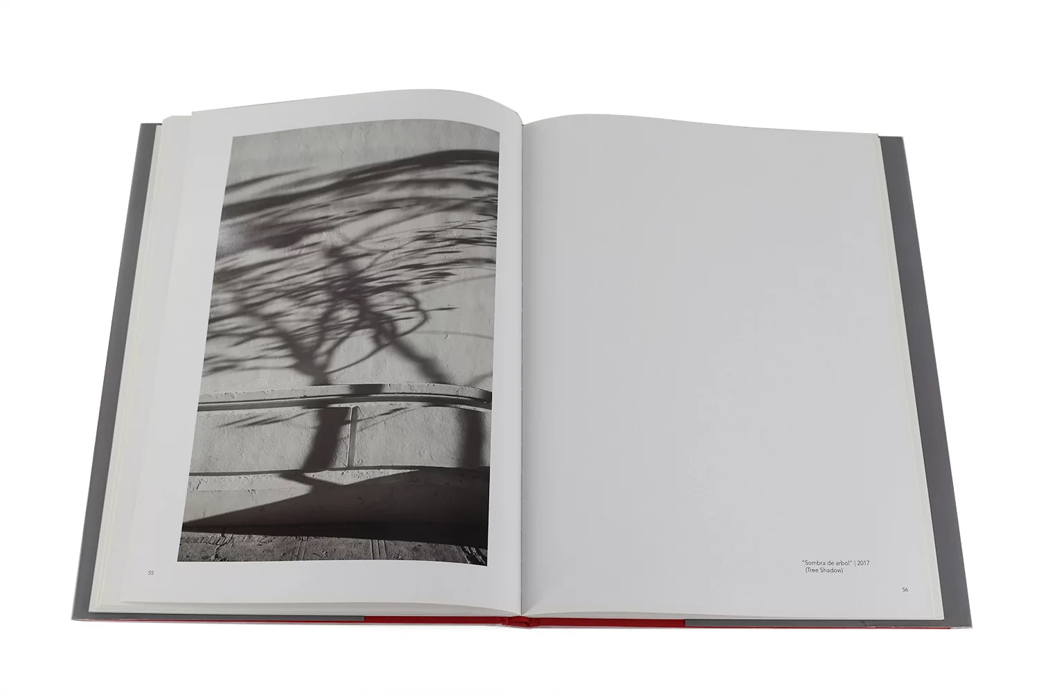 custom portrait photography book