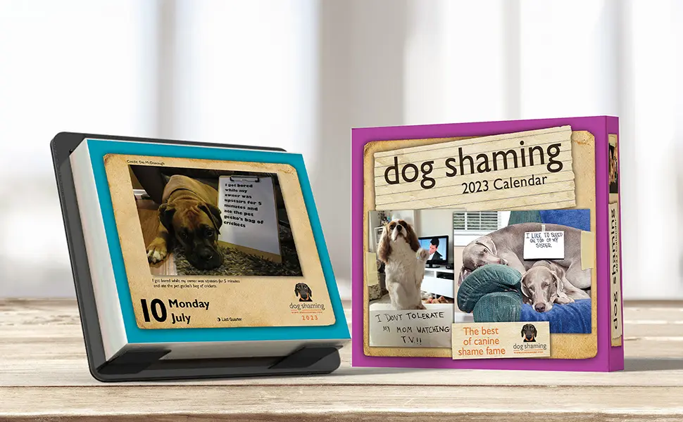 why a 365 day calendar is important