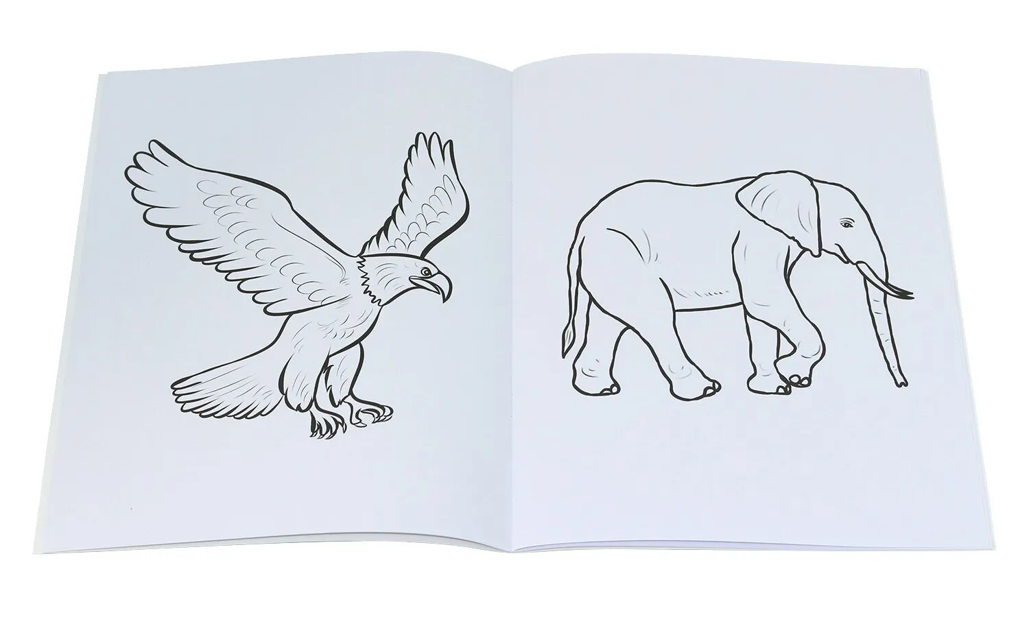 Animal theme coloring book
