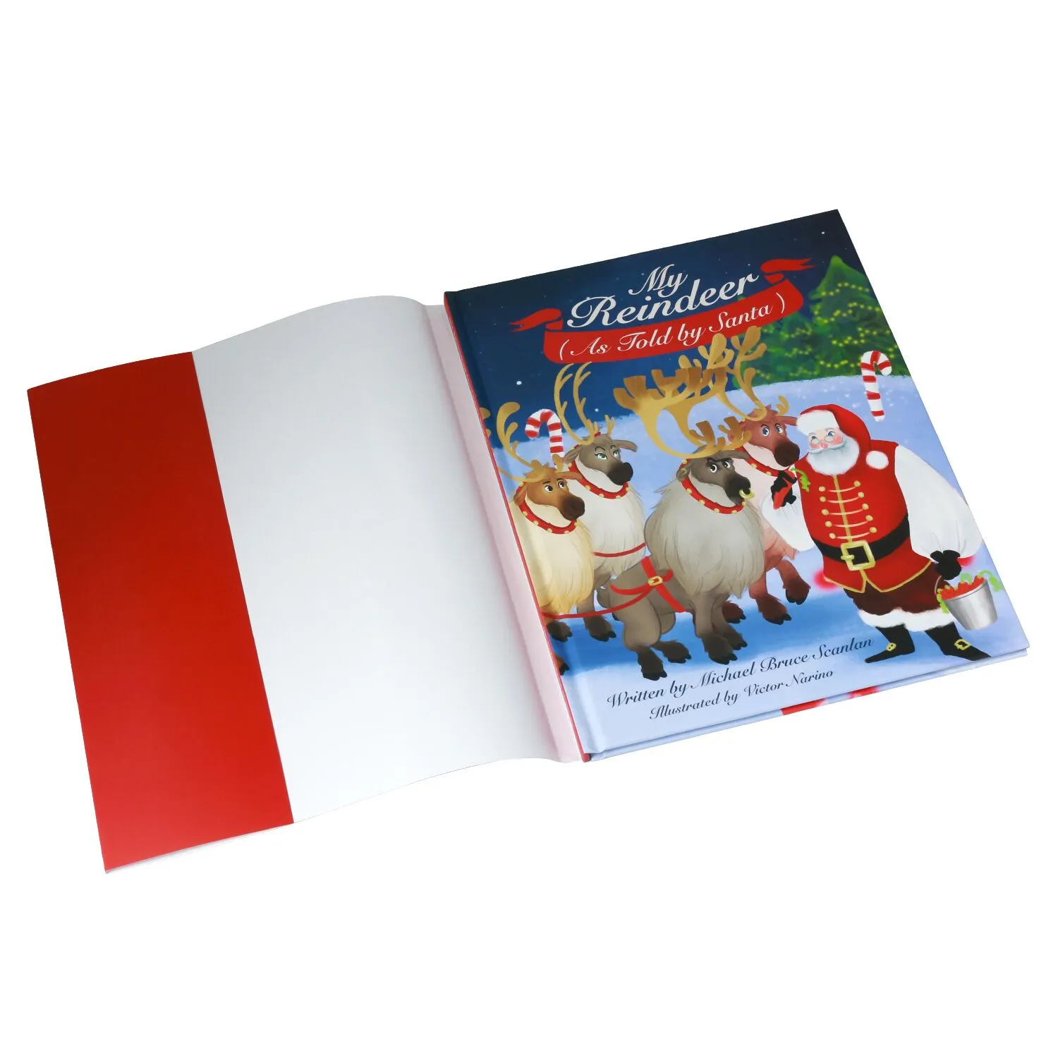 children book with dust jacket