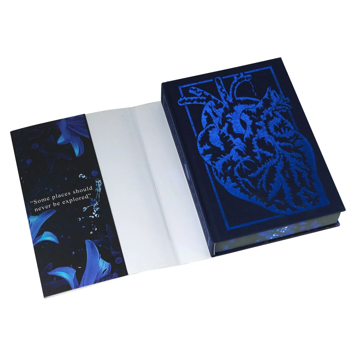 fiction book with dust jacket