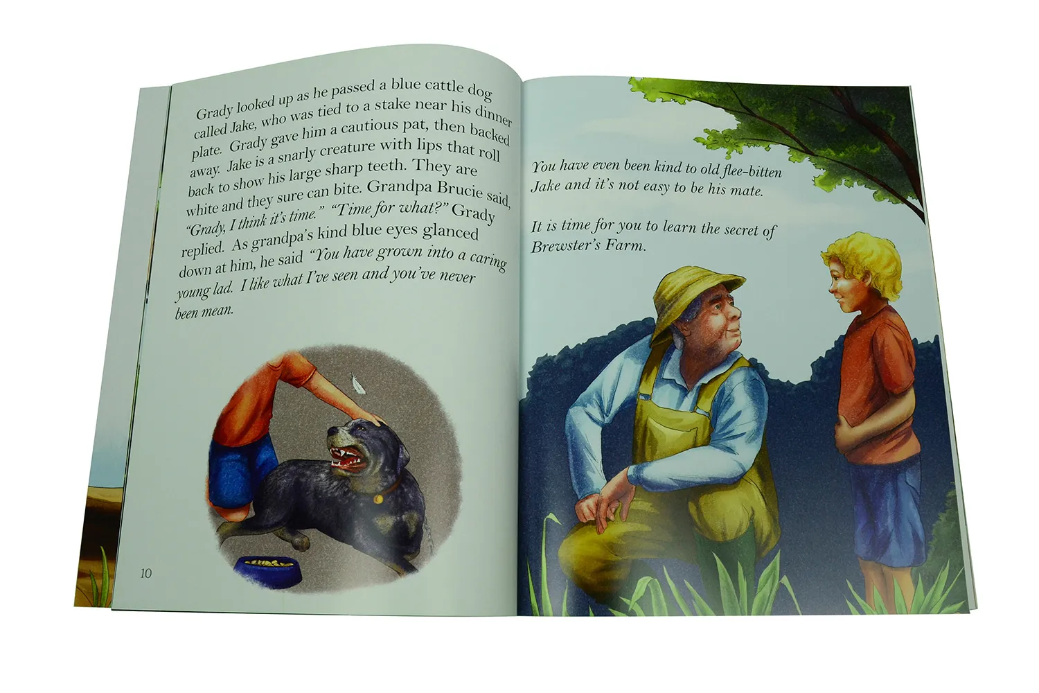 vignette illustration