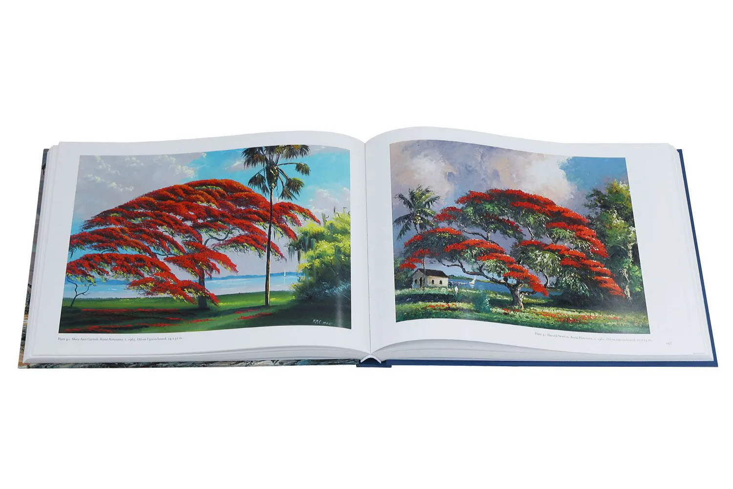 landscape format art book