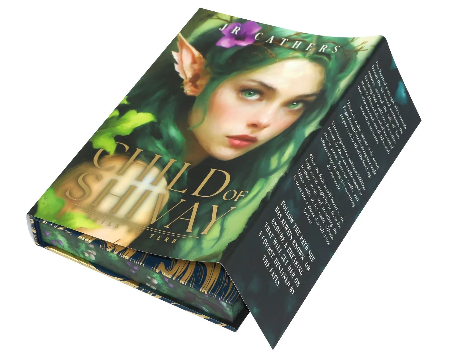 sprayed edges book with dust jacket