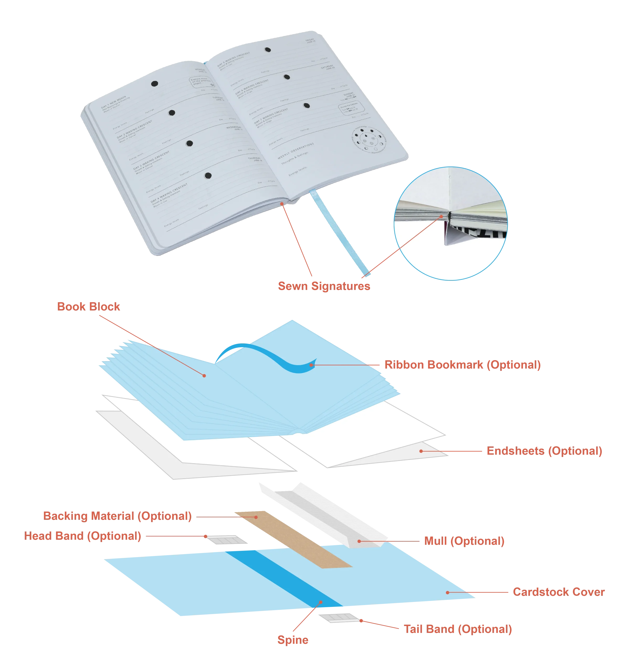 structure of a paper cover flexibound book