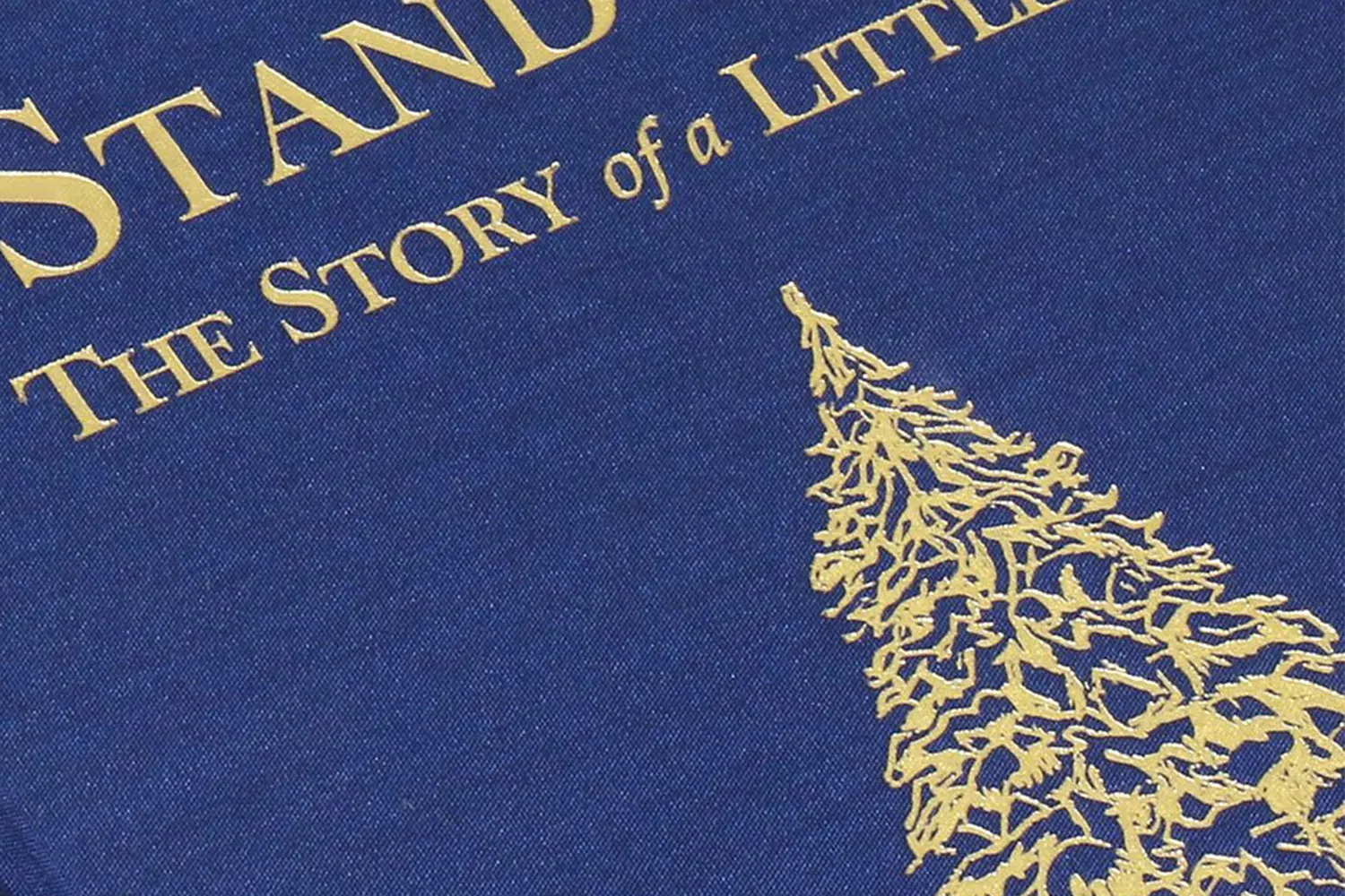 gold foil stamping on cloth cover