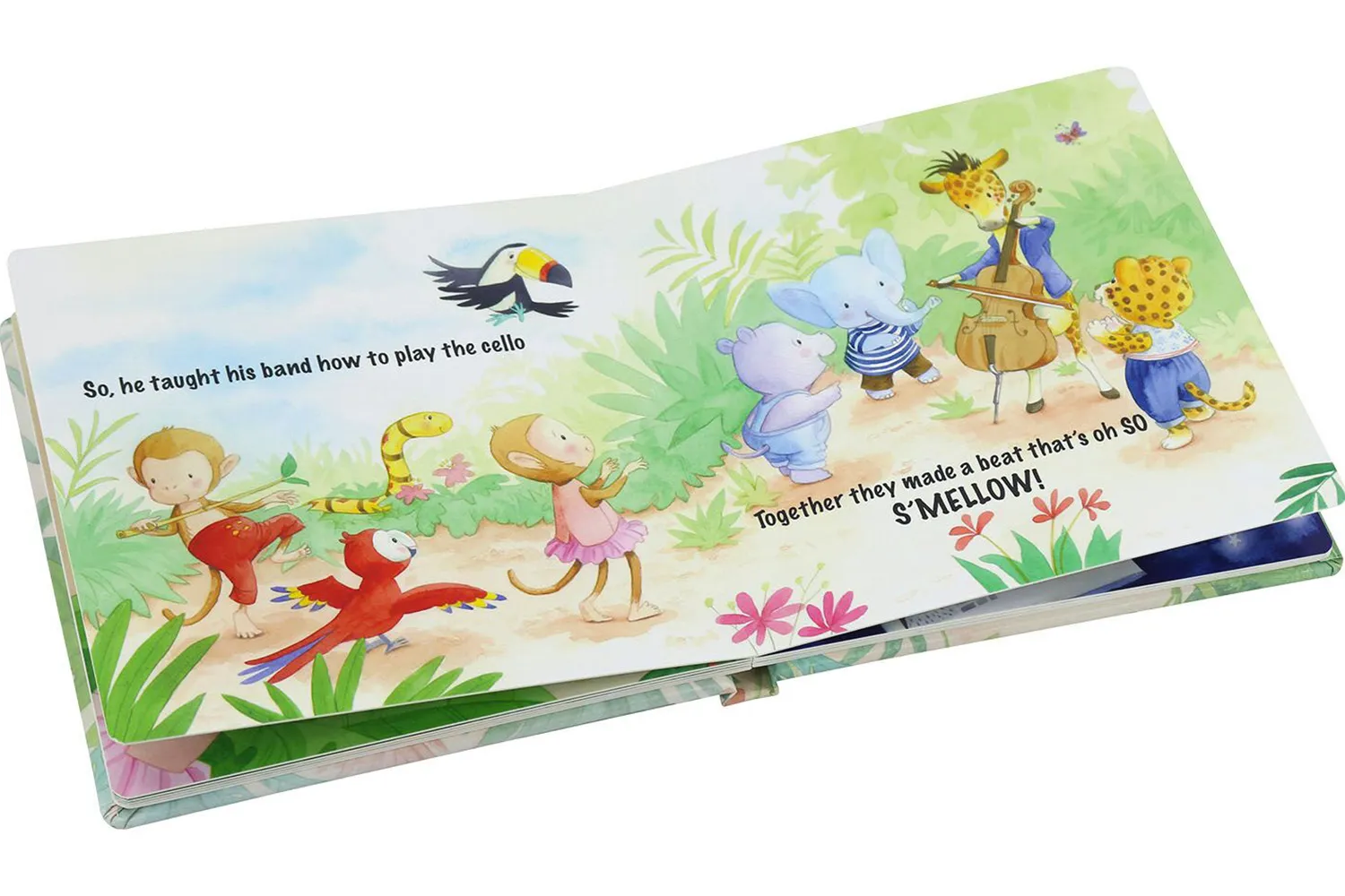 hardcover board book