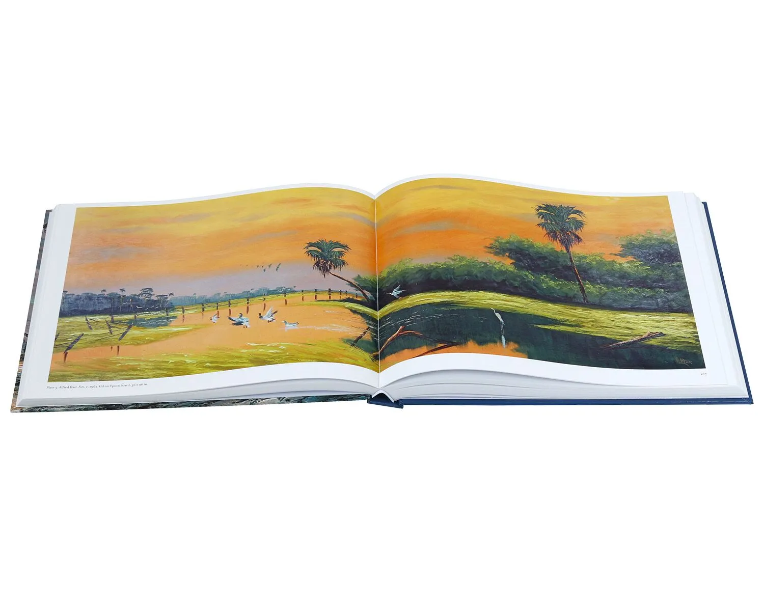 landscape hardcover book printing