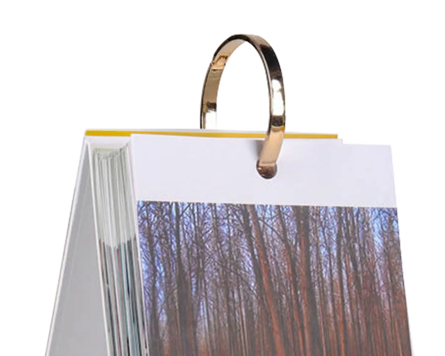 ring binding calendar