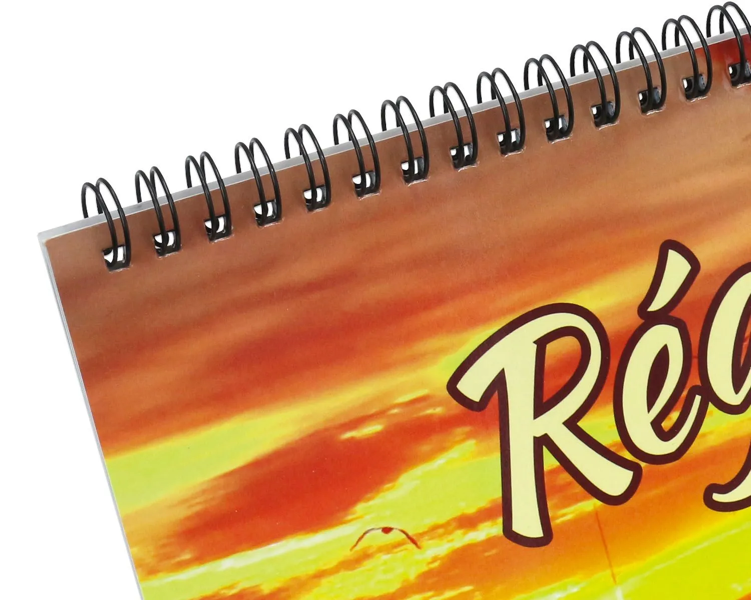 wire bound wall calendar