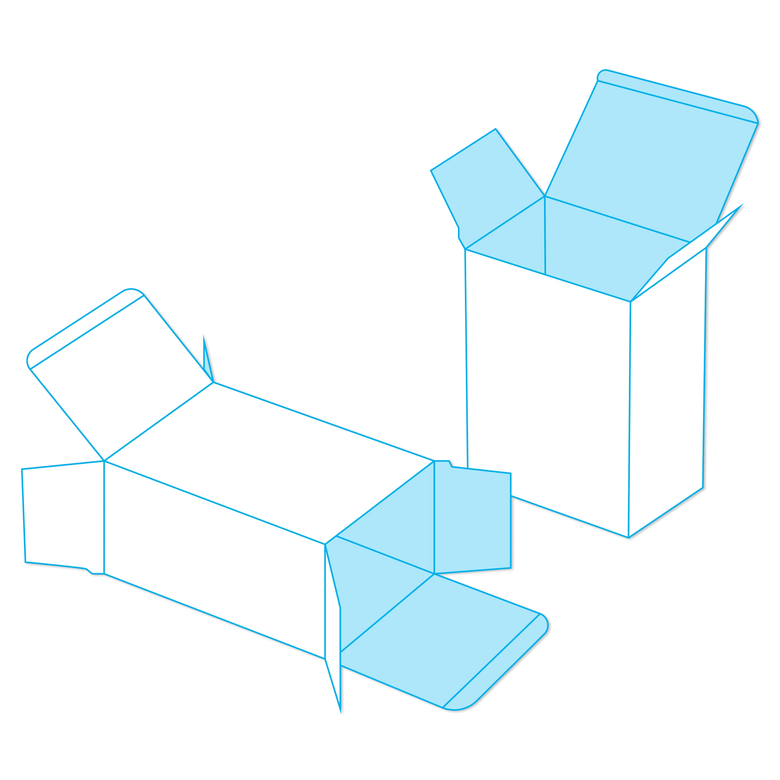 reverse tuck end box